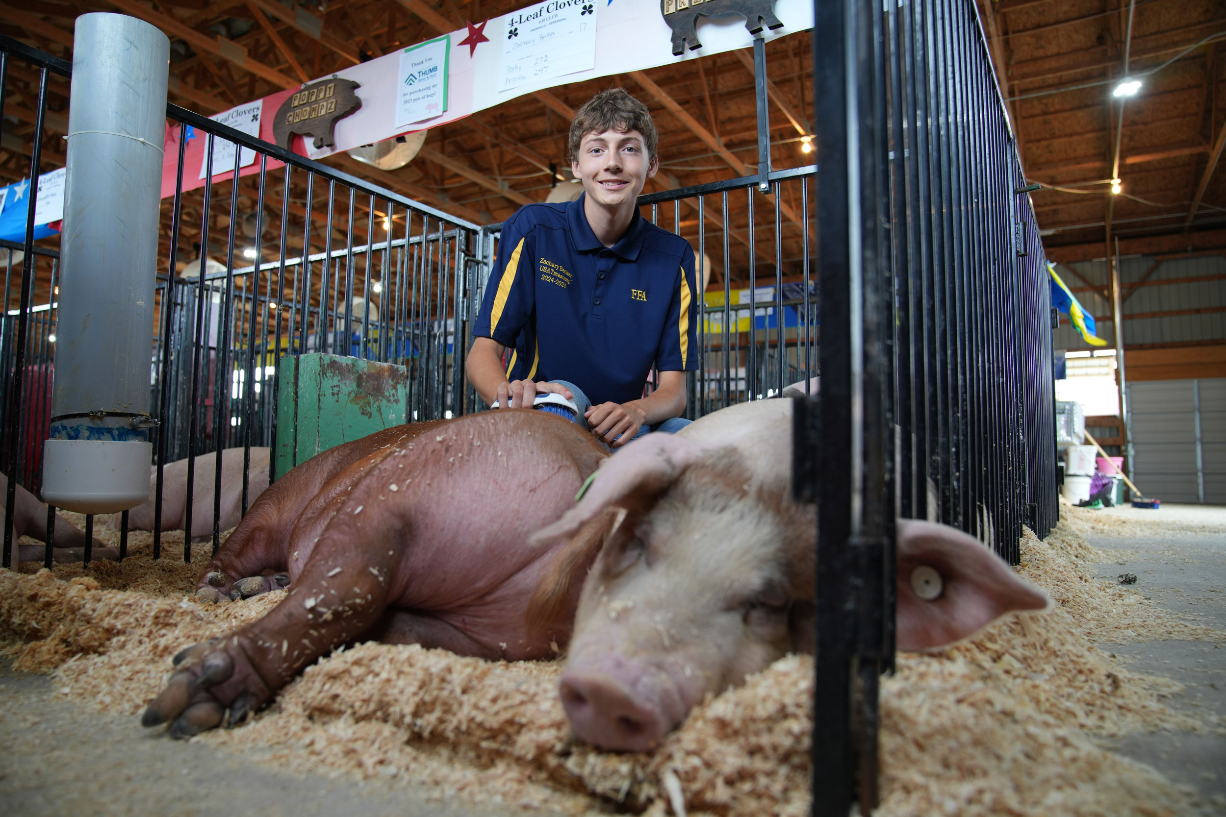 boy with his pig