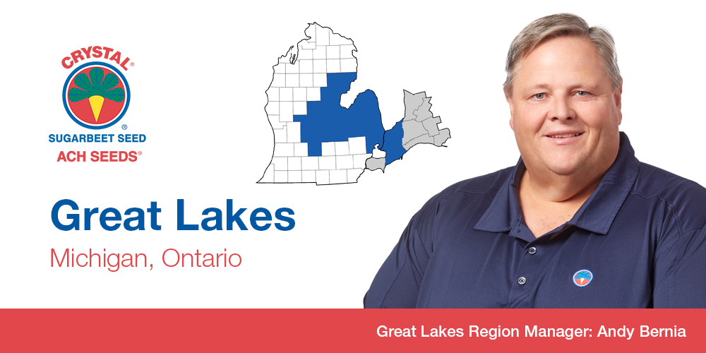 great lakes region